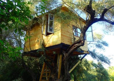 Treehouse in Lefkada