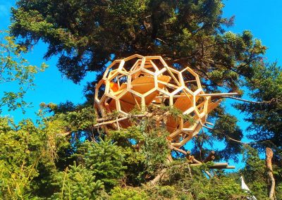 Treehouse in Pavlani