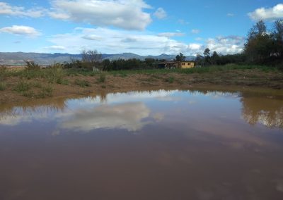 Pond and food forest in Lamia